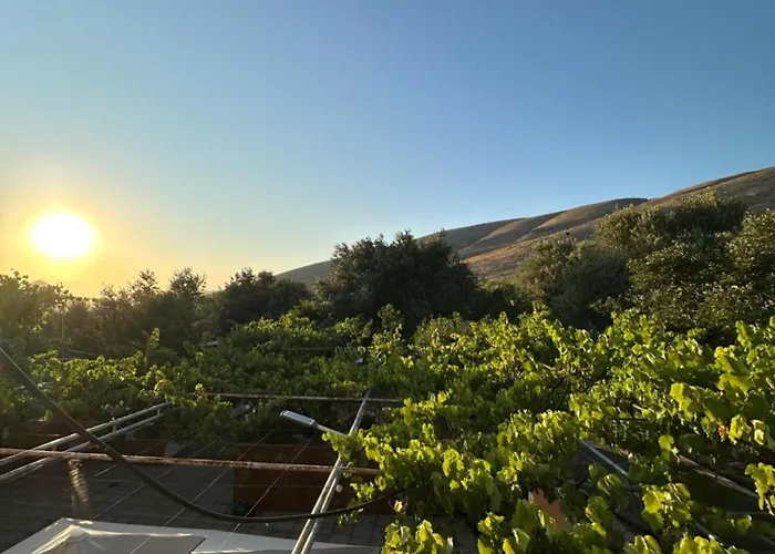 Bauernhof Te Nana's Farm Konispol