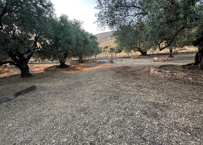 Te Nana's Farm * Konispol