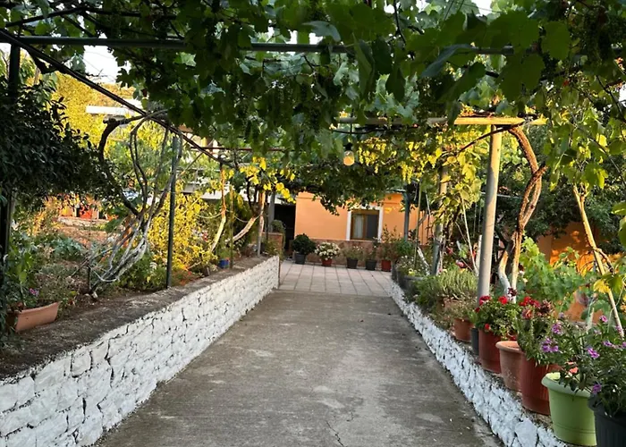 Te Nana's Farm *