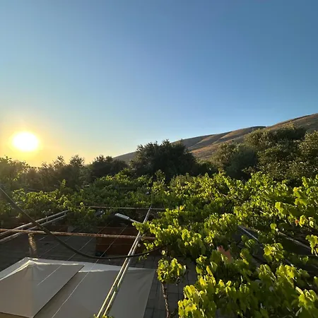 مزرعة للإقامة Te Nana's Farm Konispol