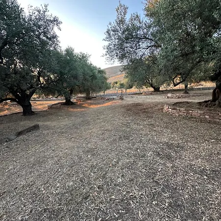 Te Nana's Farm * Konispol