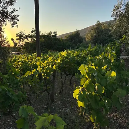 مزرعة للإقامة Te Nana's Farm