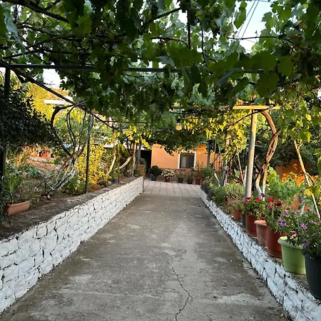 Te Nana's Farm *