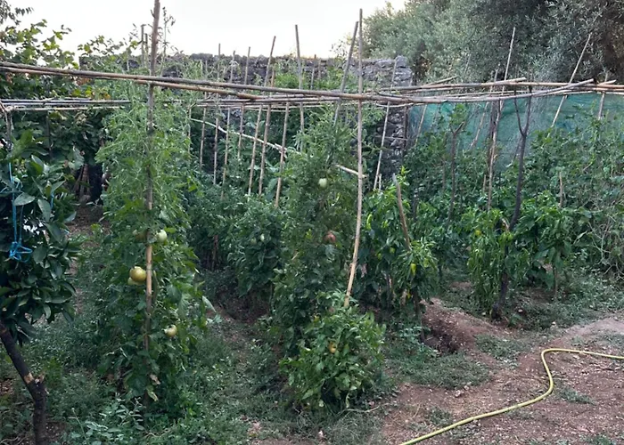 Κατάλυμα σε φάρμα Te Nana's Farm Konispol