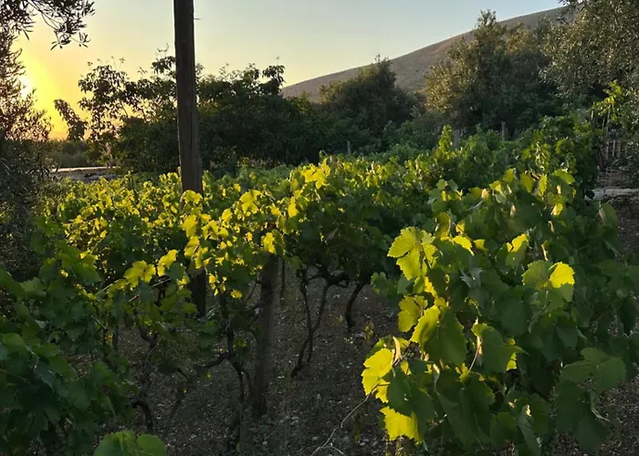 Κατάλυμα σε φάρμα Te Nana's Farm